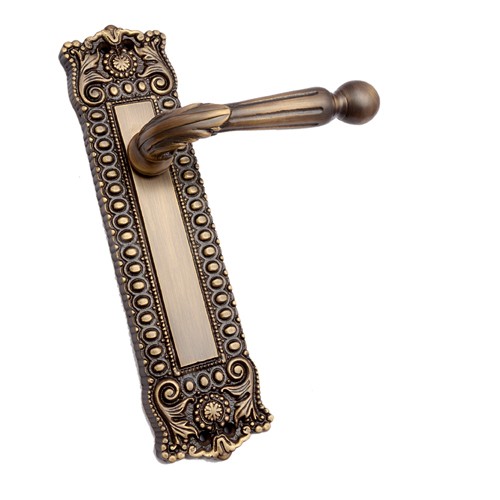 "Sigionoth" Brass Door Handle with Plate